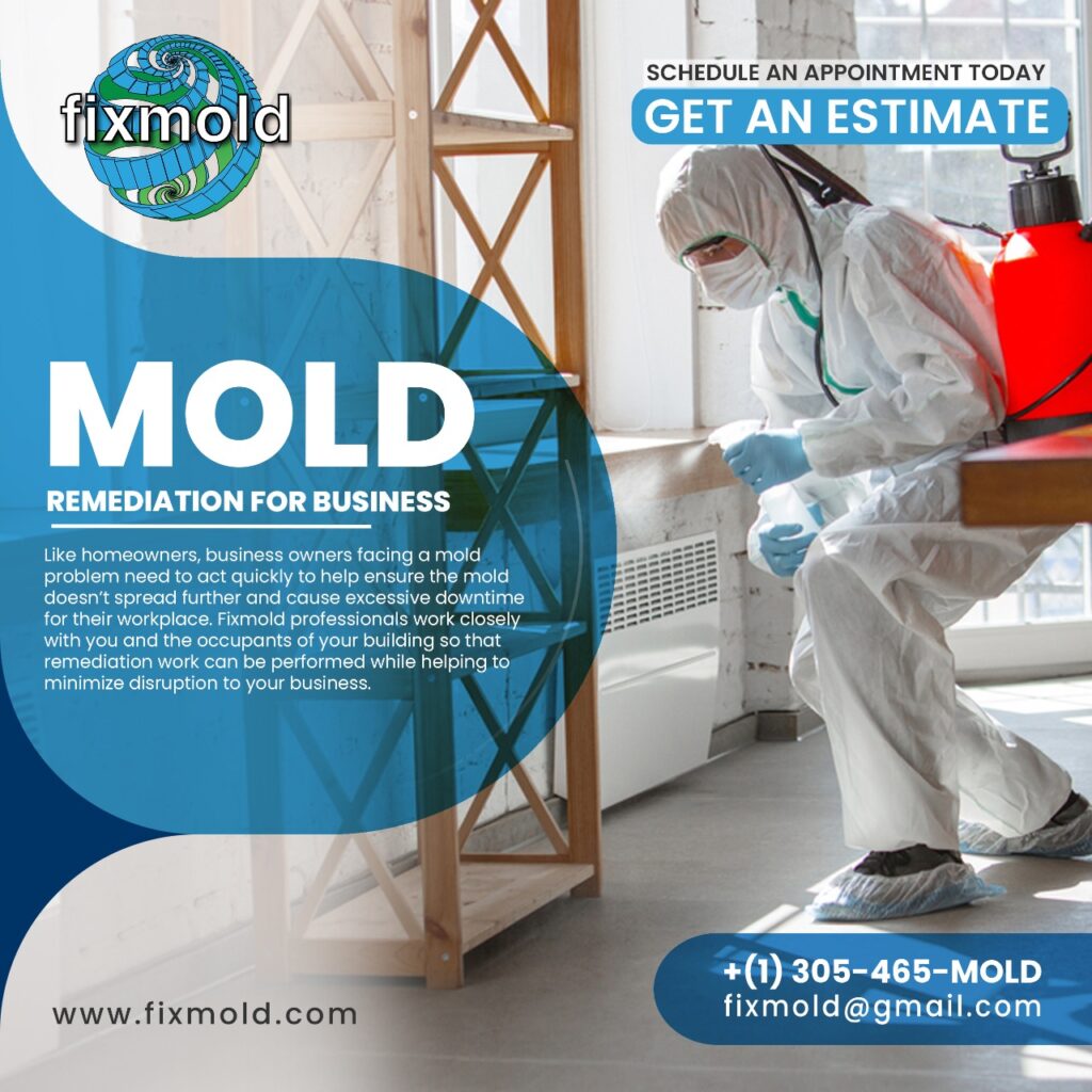 The Dangers of Ignoring Mold in Your Florida Home: An Expert’s Perspective